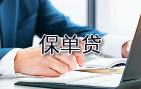 吴忠保单贷