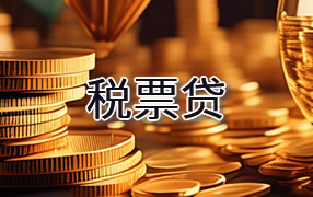 吴忠税票贷